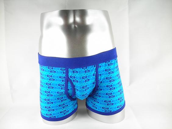 Men's Boxer Shorts (Blue Pattern) 