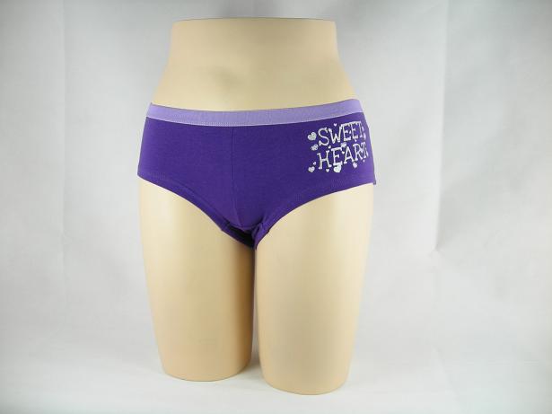Women's Briefs (Sweet Heart Print) 